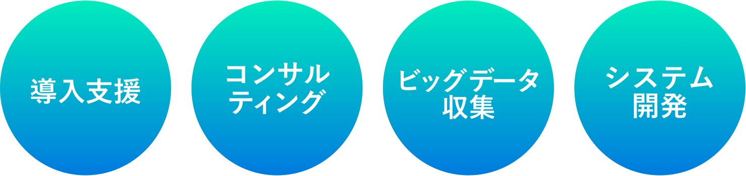 導入支援/コンサルティング/ビッグデータ収集/システム開発